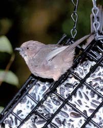 Wild Birds Unlimited - Nature Shop