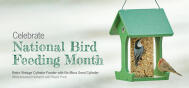 EDU National Bird Feeding Month 2602E
